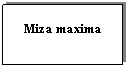 Text Box: Miza maxima

